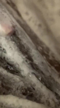 Soapy Shower Massage for a Purrrfectly Clean Pussy