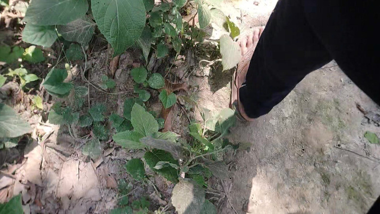 DesiDarkArt: A Asian Boy in Forest Handjob Foking