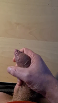 Masturbação rápida durante o almoço