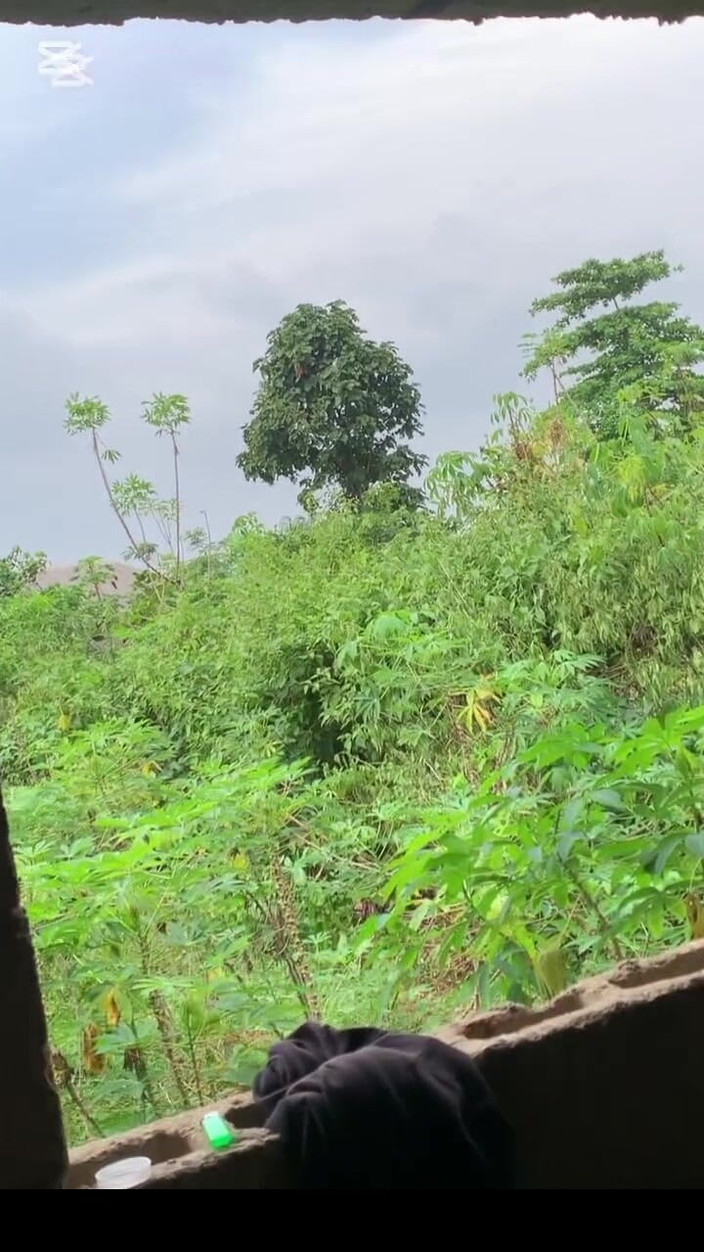 Sassypussyy:  Sassy videor 