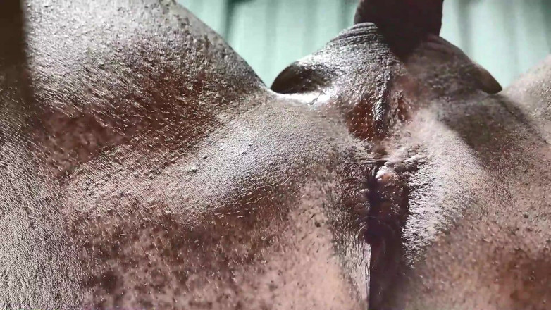 There is no safeword: Strap on Stories - denní pegging den 112- nejprve U Získejte kundičku,...