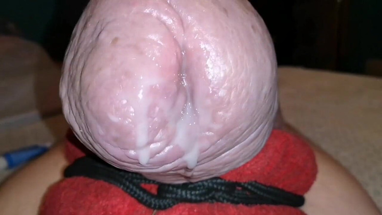 Monster_Meat_: Uma gozada de 10 dias