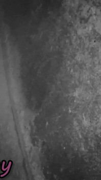 Misscreamy 法国老师在光天化日之下的极端公共街头口交！