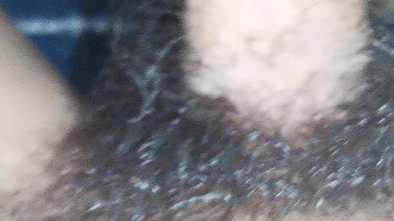 SEXY_GUYBEST: Tôi đã lạc trong rừng Amazon