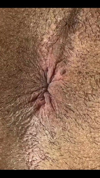 Do You Like My Ass?