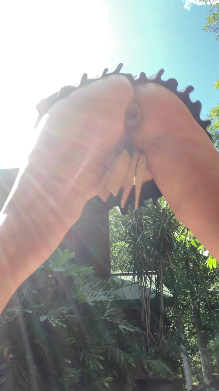 Kinky Midwest Meadows: Zadní porch anální kolík