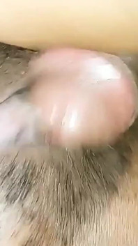 Elle Aime Bien De Sucer Ma Bite Video Complète