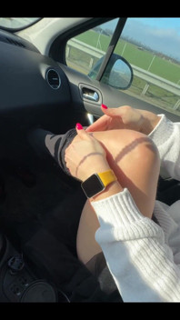 Would You Like Me to Be Your Traveling Companion?