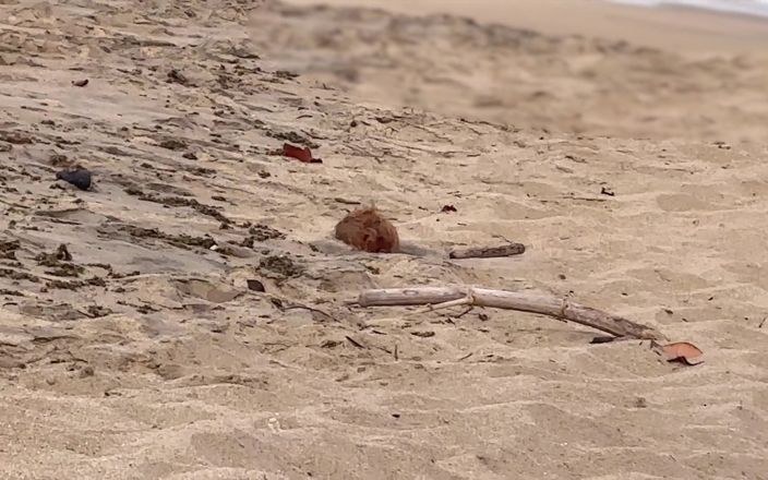 cxlila: Stranger mi scopa su una spiaggia nudista dopo che l'ho...