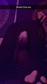Smack That Ass