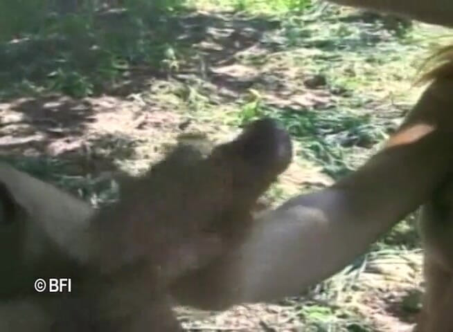 Ladyboy Paradise: Brasil trans passion 9
