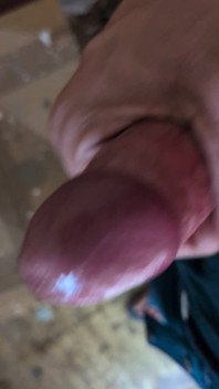 Honění