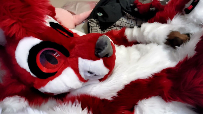 PawgrammerSocks: Jerking off and Showing Footpaws in Full-body Fursuit