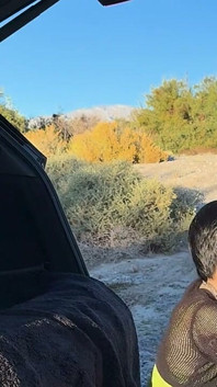 Outside Wildlife Fuck in Car Trunk