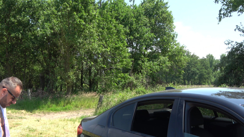 German Porn: komşu durmadan istiyor