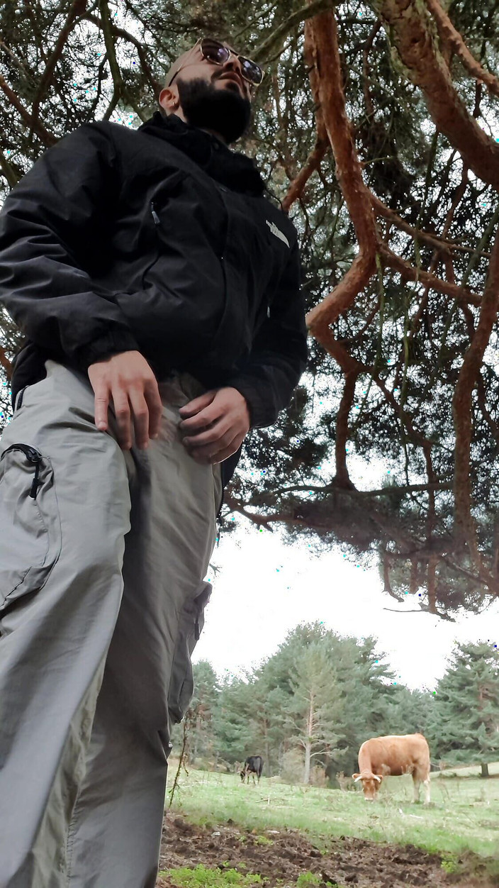 Liamgaell27: 森で迷子になってしまいました、誰か助けてもらえますか?