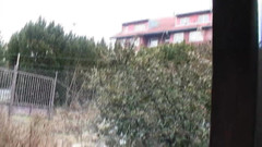 Rosen video productions: Una ragazza mora maliziosa succhia il cazzo fino a quando...