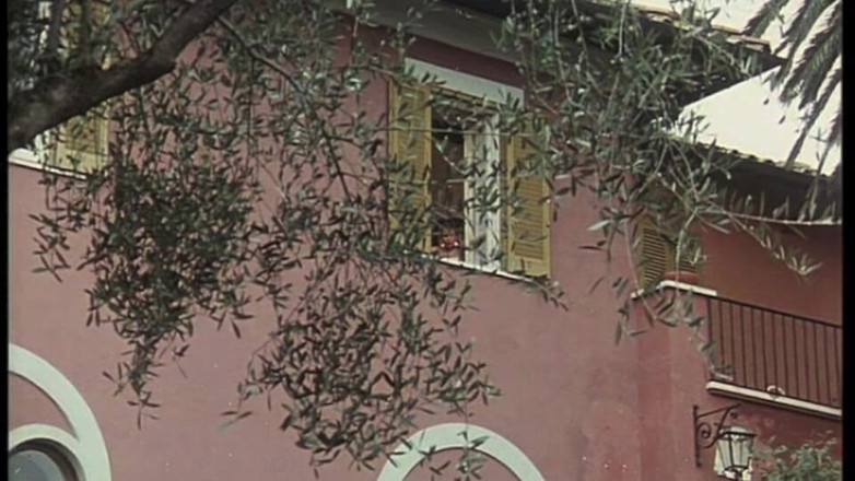 Inhonorof porn: Arkadaşı onları pencereden izlerken bahçede sikişiyorlar