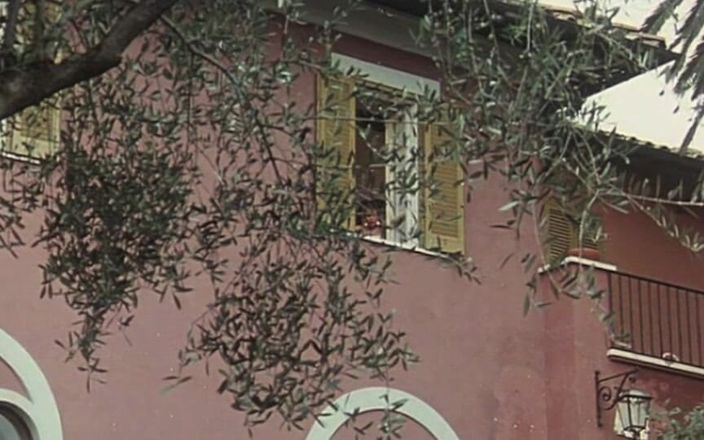Inhonorof porn: Они трахаются в саду, пока друг наблюдает за ними из окна