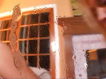 2 Girls 1 Guy: Awek berstoking memancut mani dan dikongkek pantat