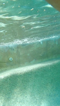 Caldo divertimento interrazziale lesbico in piscina