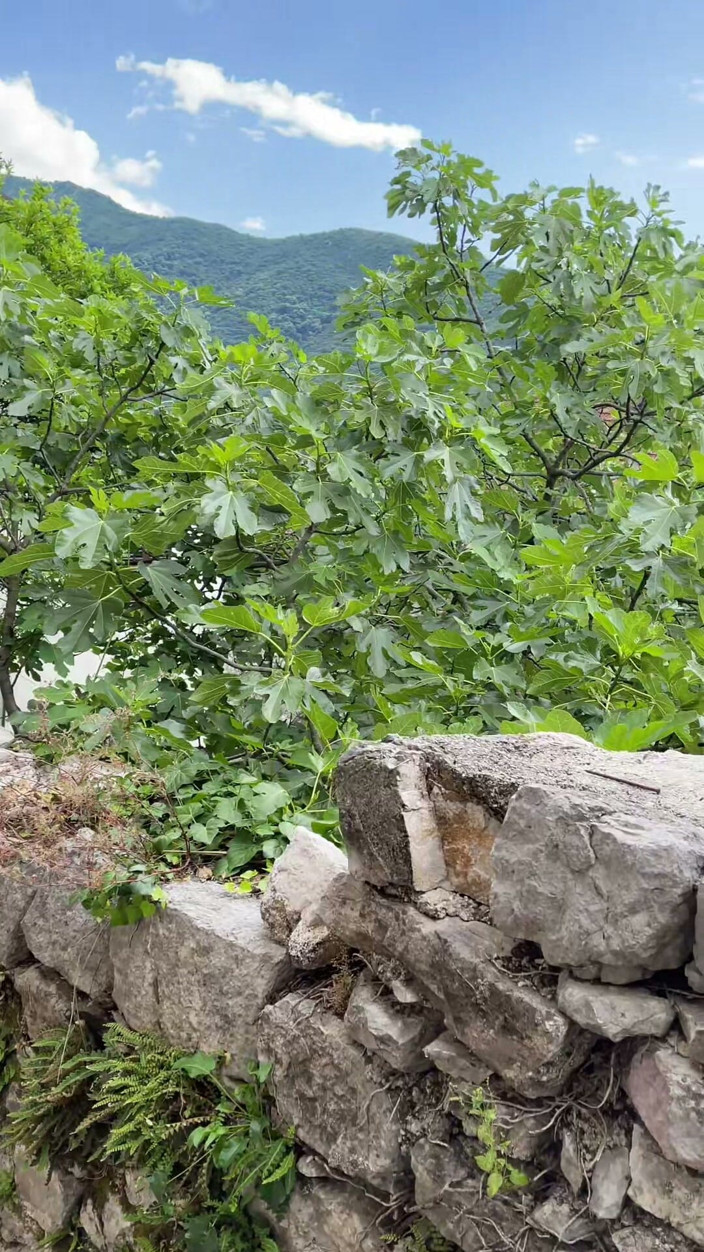 Johnny Grey: Quase fomos pegos fodendo na escada em Montenegro