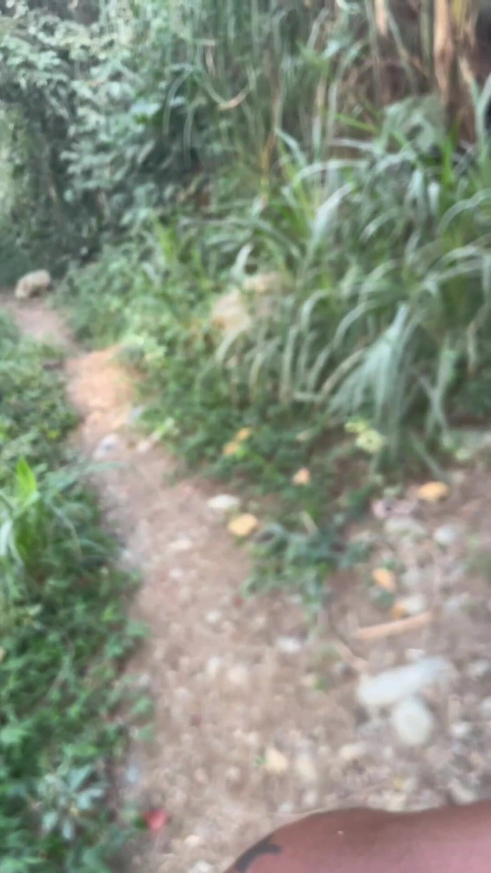 XanderBlackx: Rambut Cokelat Panas Mengisap Penisku Yang Besar Dan Tebal Dengan...