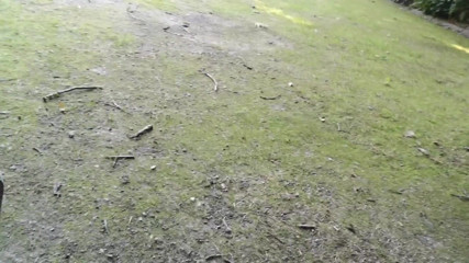 Monster_Meat_: Riskant draußen spielen im parc