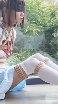 The Scenery Inside the Window Is so Wonderful