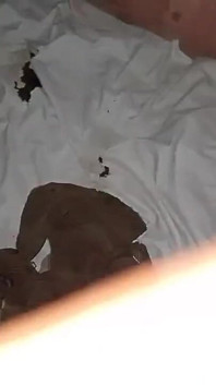 Afrikansk svart kille knullar sin säng