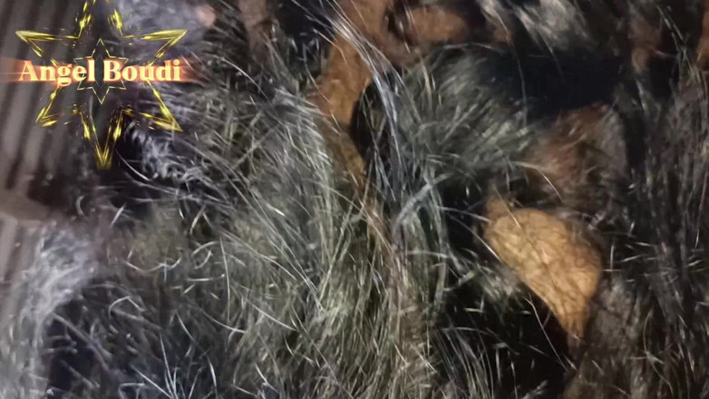 Roshalo Boudi: Bengálské Angel Boudi a její nevlastní bratr v právní aféře