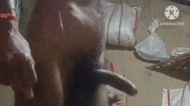 vijay Yadav: Bhabhi follada con pene de 9 pulgadas