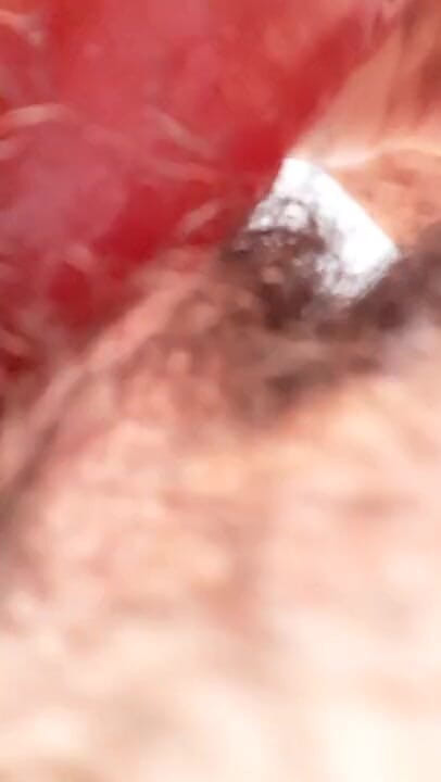 ViviBush: Hairy teen giantess finds her little stepbrother