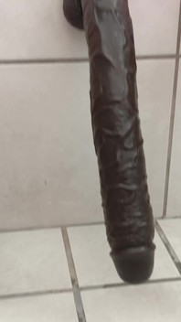 Tasting All Sizes, Colors and Flavors