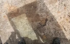 Divertimento in un nuovo sito di lavoro.