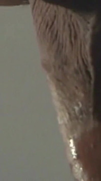 Blondes schätzchen mit dicken titten nimmt einen halsfick und wird muschi geritten