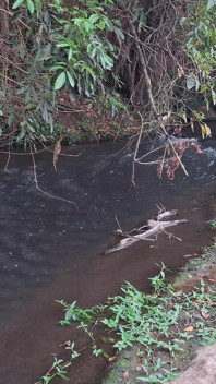 Degli sconosciuti vengono beccati a fare sesso alla cascata.