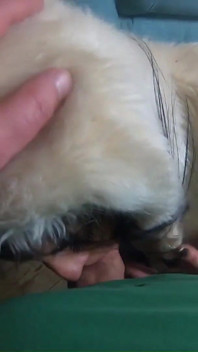 Milfycalla Blowjob Compilation in Downjackets & Fur Coats Cock Sucking with Clothing Fetish