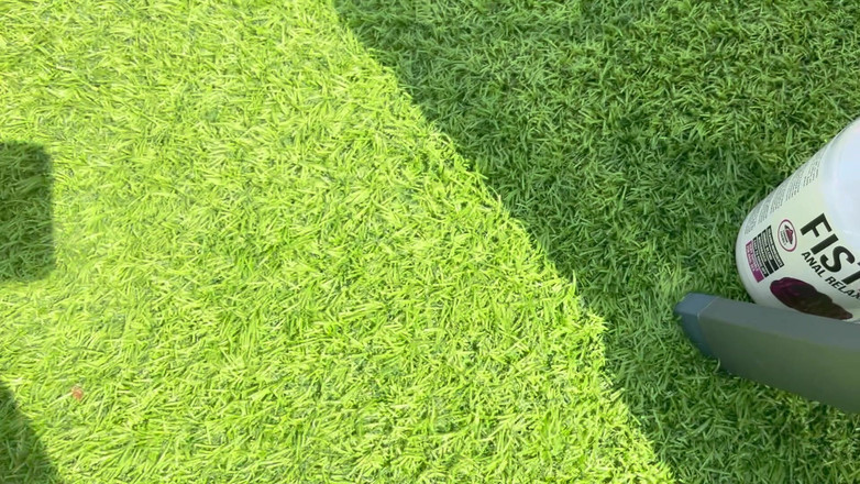 Gina World: Big Dildo