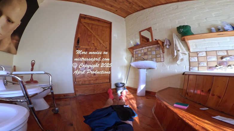 Twisted Nymphs: Gedraaide nimfen - de pikreiniger - deel 2