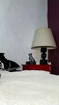 Chico travieso presumiendo de su maleta