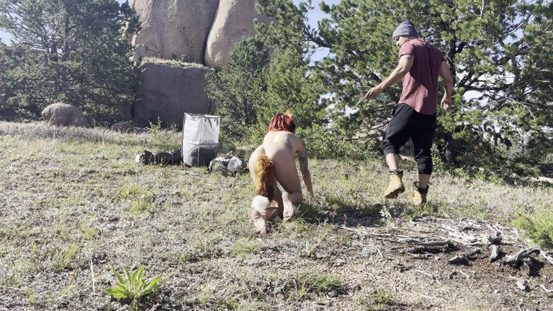 MYA Pleasure: En räv i skogen