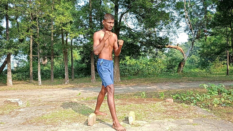 LinearOrnament35: Poder de ajuste