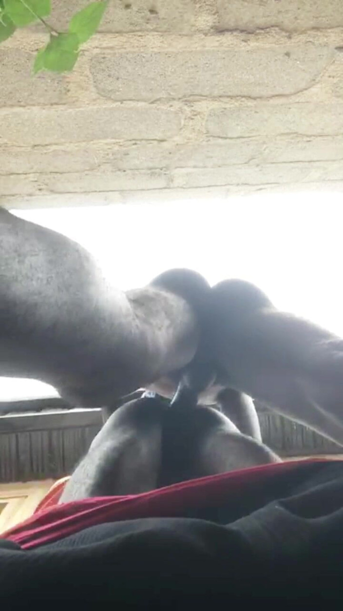 Sexylary: Perrito a pelo debajo de la vista