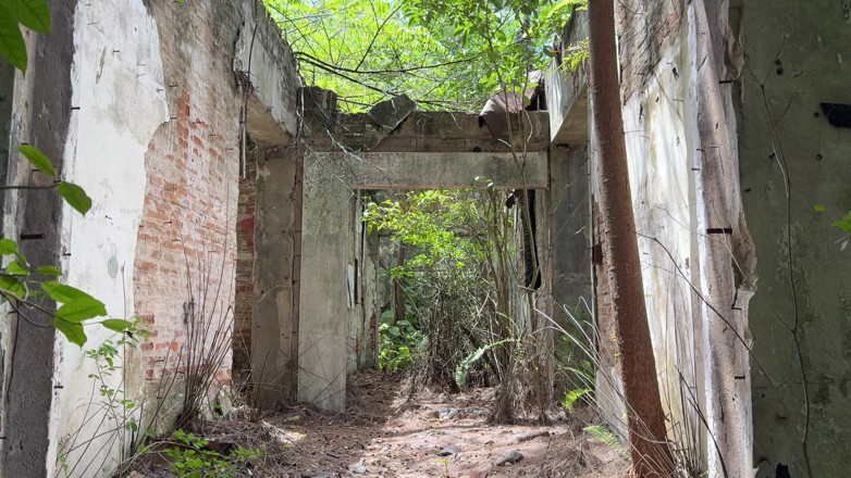 ortizjona: Public Jerk off and Dildo Play in Abandoned Build