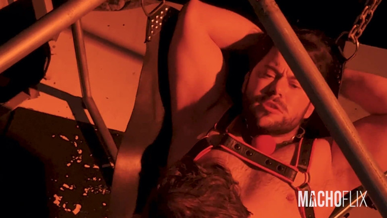 MACHOFLIX: Slave Share