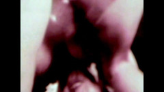 The Unforgettable: Het wilde veulen