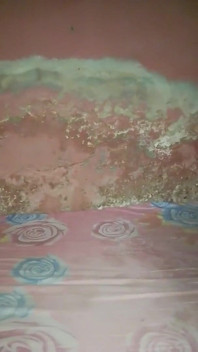 Big Cock Pees and Fucks His Bed Conspicuously