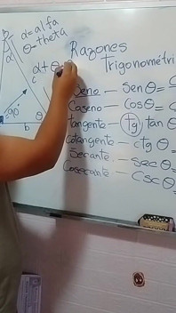 Trigonometrie: trigonometrische verhoudingen