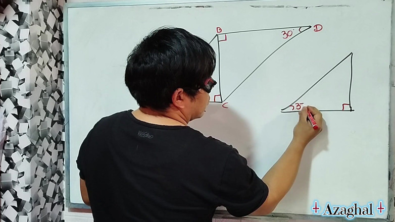 Rosaroja: 69 性数学第一次肛门奶油派三角形日本人